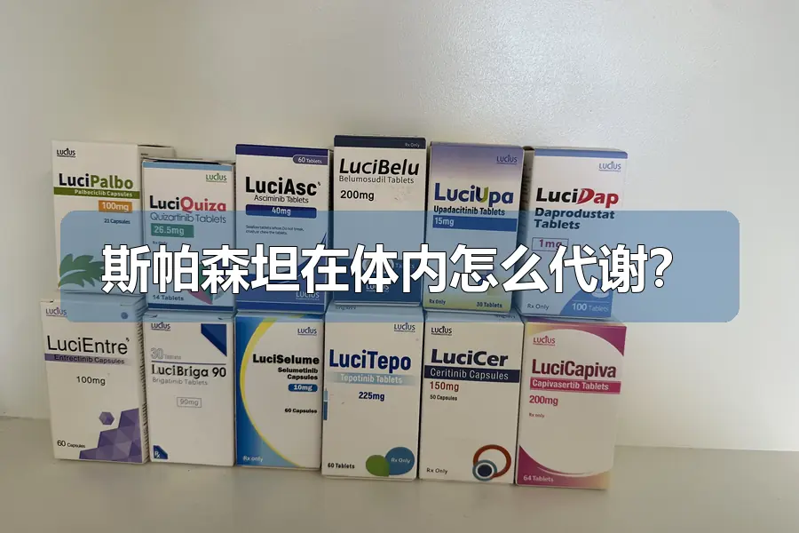 斯帕森坦在体内怎么代谢?